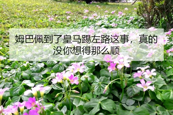 mu-ba-pei-dao-le-huang-ma-ti-zuo-lu-zhe-shi-zhen-de-mei-ni-xiang-de-na-me-shun-2-535.jpg
