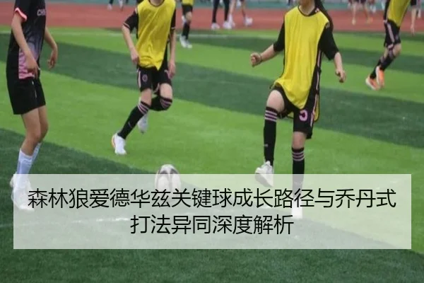 森林狼爱德华兹关键球成长路径与乔丹式打法异同深度解析