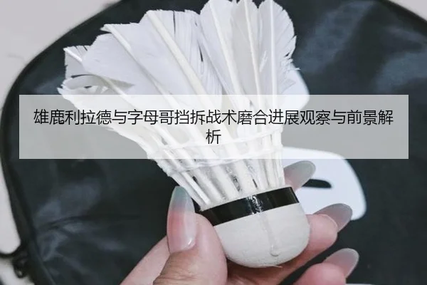 雄鹿利拉德与字母哥挡拆战术磨合进展观察与前景解析