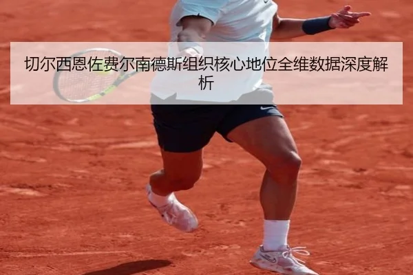切尔西恩佐费尔南德斯组织核心地位全维数据深度解析